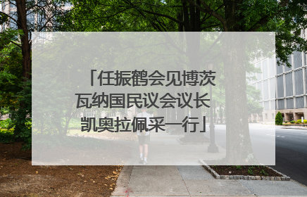 任振鹤会见博茨瓦纳国民议会议长凯奥拉佩采一行